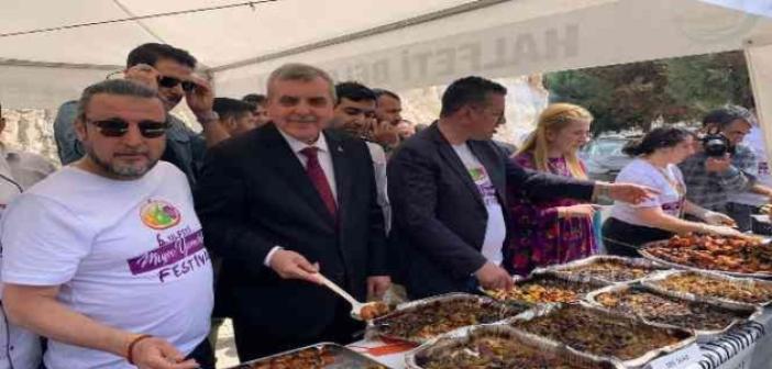 Halfeti’de 'Meyve Yemekleri Festivali' düzenleniyor