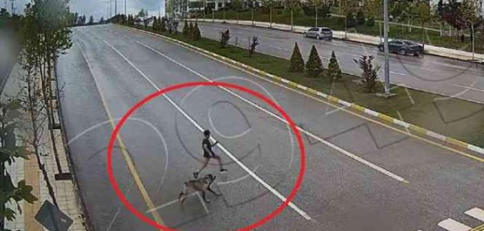 Sokak köpeğinden kaçarken düşen çocuk ağır yaralanmıştı, o anlar kamerada