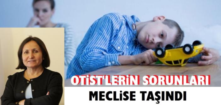 HDP, Otistiklerin ve Ailelerinin Sorunlarını Meclise taşıdı