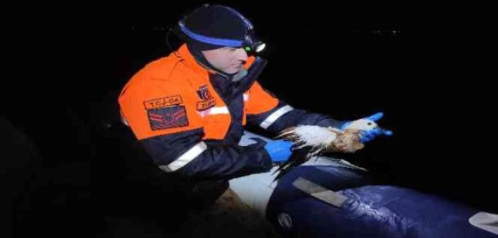 Jandarma yaralı yavru ördeği hayvan hastanesine teslim etti