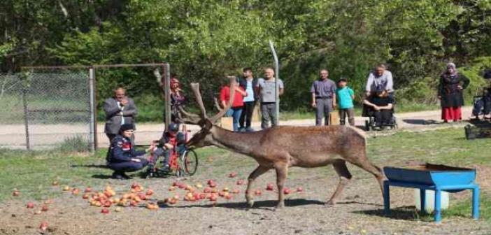 Engelli bireyler geyikleri besleyip ’Füme’ ve Garip’ ile eğlendi
