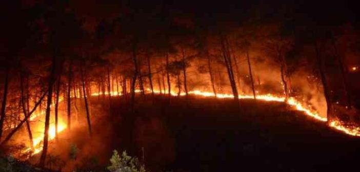 Bursa’da ormanlık alanlarda mangal yakmak yasaklandı