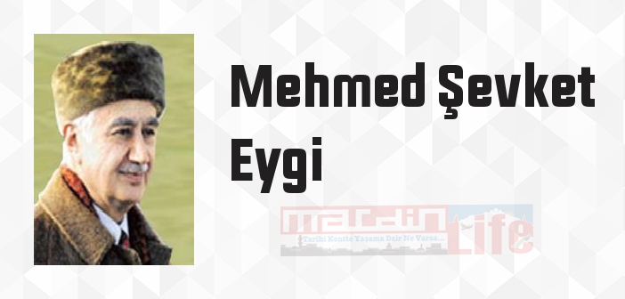 Yahudi Türkler Yahut Sabetaycılar - Mehmed Şevket Eygi Kitap özeti, konusu ve incelemesi