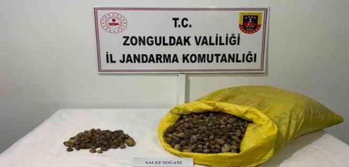 40 kilo salep soğanı için 218 bin TL ceza yediler