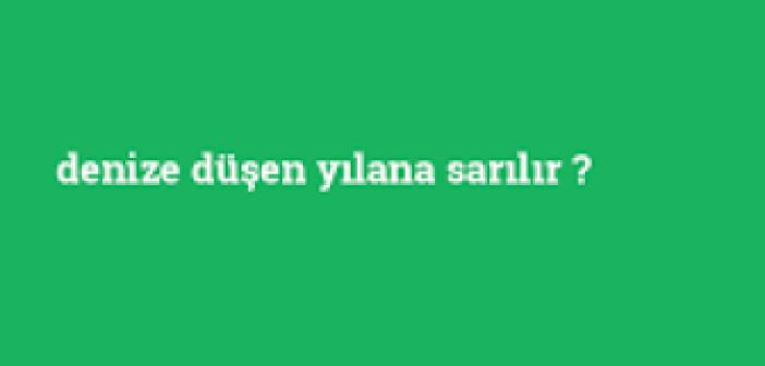 Denize düşen yılana sarılır atasözünün anlamı nedir? Denize düşen yılana sarılır ne demek?