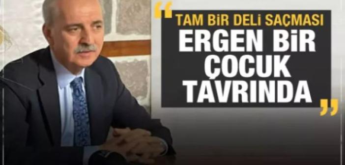 Numan Kurtulmuş: Deli Saçması!