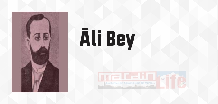 Ayyar Hamza - Âli Bey Kitap özeti, konusu ve incelemesi