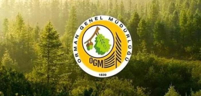 BAŞVURU FORMU! OGM 2022 personel alımı ne zaman? Orman Genel Müdürlüğü Başvuru şartları nedir?