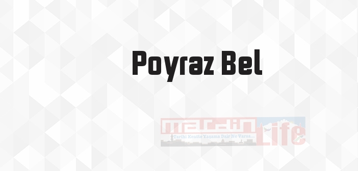 Dikkat! Çatlatır - Poyraz Bel Kitap özeti, konusu ve incelemesi