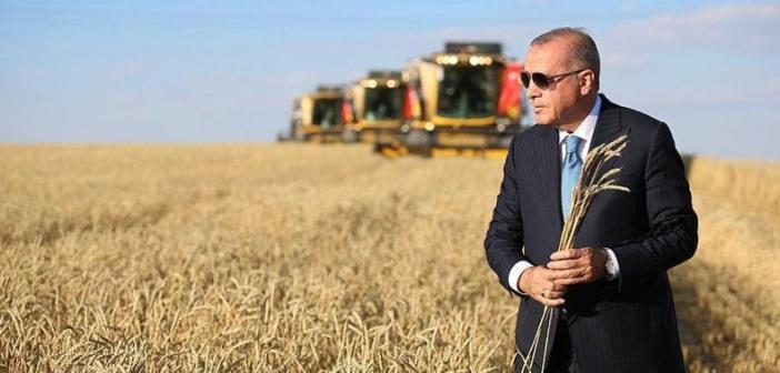 Erdoğan,  TMO'nun buğday alım fiyatını açıkladı