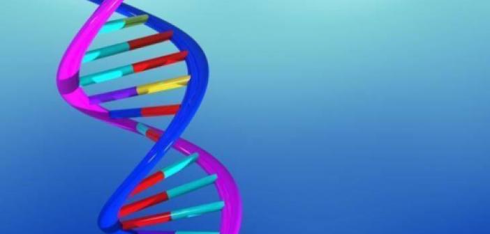 DNA Nedir? DNA'nın Yapı Birimi ve Görevi Nedir?