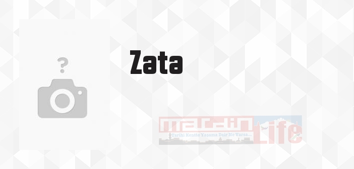 Zata - Zata Kitap özeti, konusu ve incelemesi