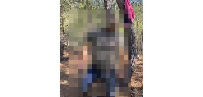Belediye işçisi ağaçta asılı halde bulundu