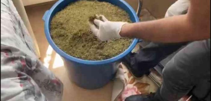 Tekirdağ’da kova dolusu uyuşturucu ele geçirildi