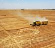 VİDEO- Biçerdöverler Buğday Hasadı İçin Mardin Ovası'nda