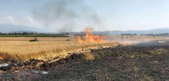 Osmaniye’de 10 dönüm buğday tarlası yandı