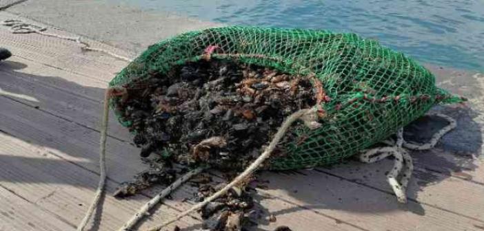Sarıyer’de amatör olta balıkçıları ve denizde kaçak midye avcılığı denetimi