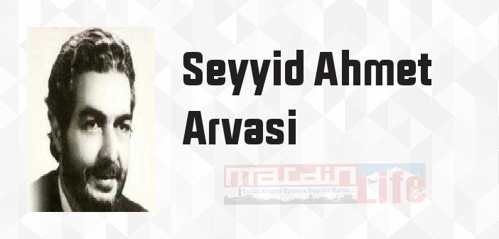 Seyyid Ahmet Arvasi kimdir? Seyyid Ahmet Arvasi kitapları ve sözleri