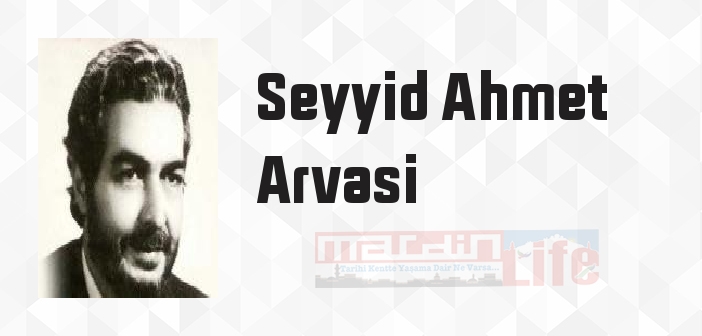 İlm-i Hal - Seyyid Ahmet Arvasi Kitap özeti, konusu ve incelemesi