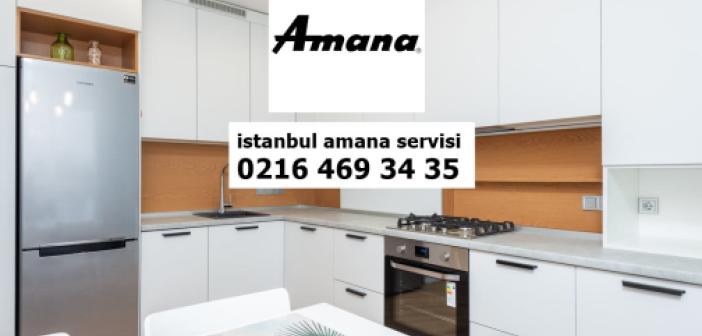 İstanbul Amana Servisi