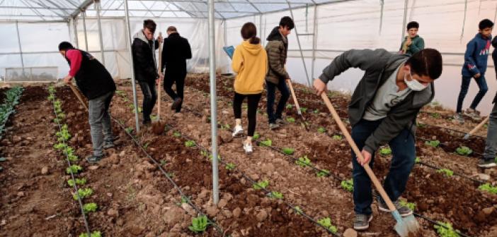 Mardin’de meslek lisesinde uygulamalı tarım eğitimi