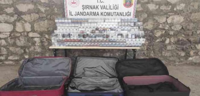 Şırnak’ta kaçakçılık ve asayiş operasyonu: 47 gözaltı