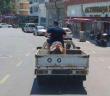 Tekirdağ’da ilginç yolculuk: Motosiklet asfaltta değil, kamyon kasasında