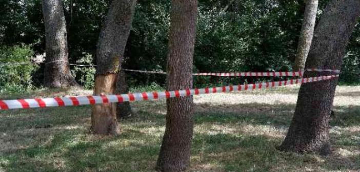 Edirne’de ormanlara giriş 3 ay yasaklandı