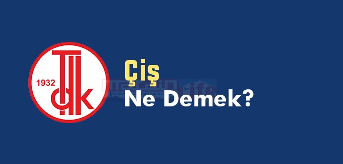 Çiş ne demek? Çiş TDK sözlük anlamı nedir?