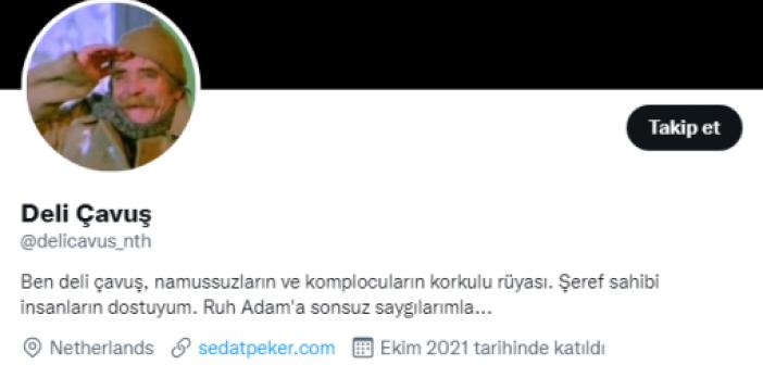 'Deli Çavuş' Twitter hesabı kimin, kim kullanıyor? Sedat Peker adına paylaşım yapan Deli Çavuş hesabı kimde?