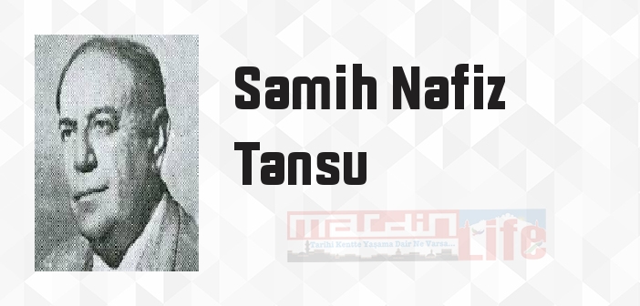 İki Devrin Perde Arkası - Samih Nafiz Tansu Kitap özeti, konusu ve incelemesi