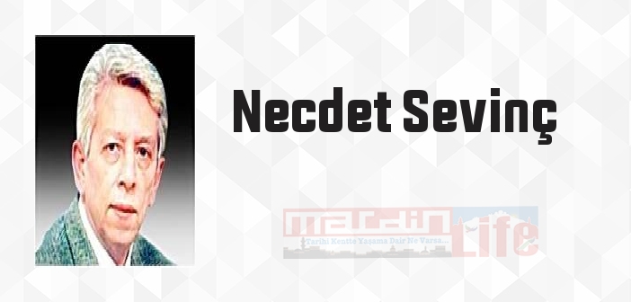 İstiklal Harbi'nde Etnik İhanet - Necdet Sevinç Kitap özeti, konusu ve incelemesi