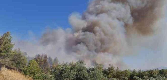 Aydın’da orman yangınına havadan ve karadan müdahale ediliyor