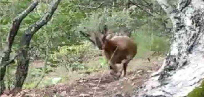 Yangının kahramanları nöbete devam ediyor