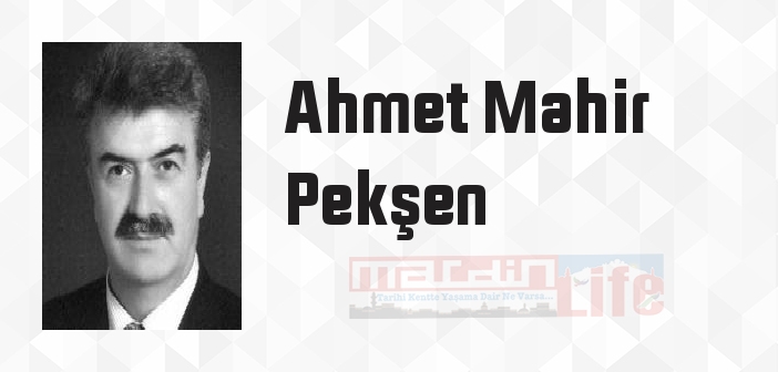 Git, Secde Et ve Ağla - Ahmet Mahir Pekşen Kitap özeti, konusu ve incelemesi