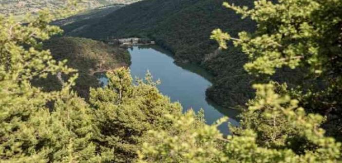 Amasya’da ormanlara giriş çıkışlar ve ateşli piknik yasaklandı