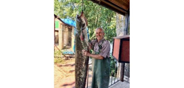 Edirne’de amatör balıkçı tam 40 kiloluk yayın balığı tuttu