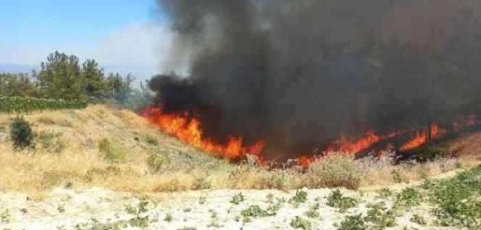 Manisa Büyükşehir İtfaiyesi Gördes yangını için seferber oldu