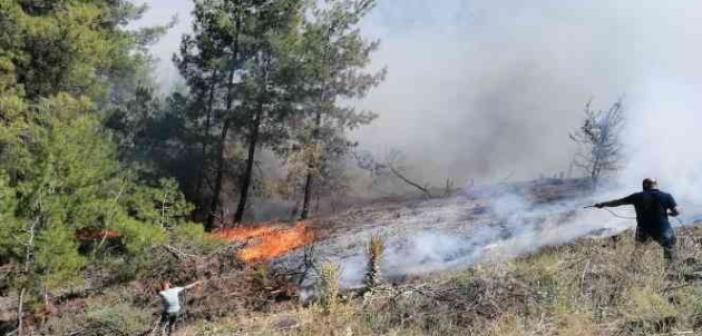 Manisa’daki orman yangınında ekip sayısı artırılıyor
