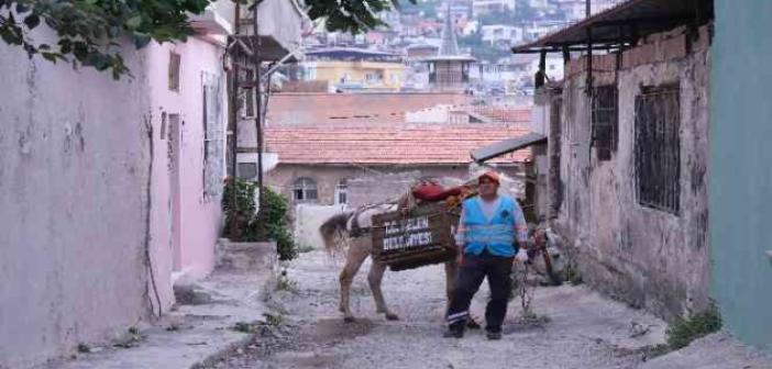 Tarihi ilçede çöpler atlarla toplanıyor