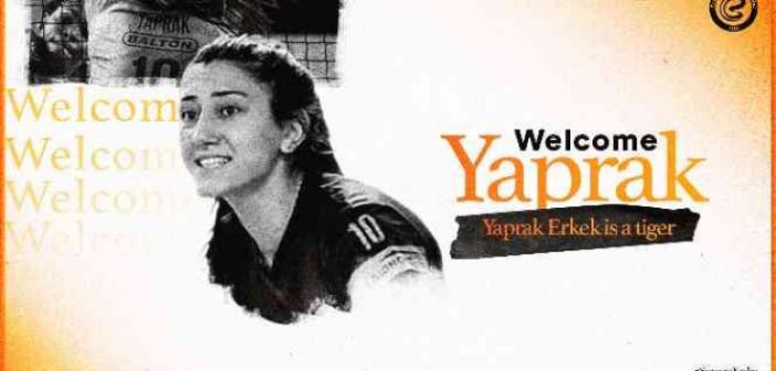 Yaprak Erkek, Eczacıbaşı Dynavit’te