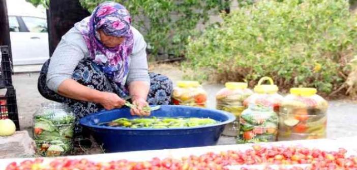 Erzincan’da kadınların turşu mesaisi başladı
