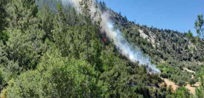 Karaman’da çıkan orman yangını kısa sürede kontrol altına alındı