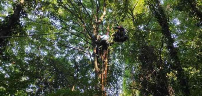 Paraşütle ağaca takılan vatandaşı AFAD kurtardı