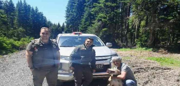 Ormanda kaybolan 'Bulut' isimli köpek, 11 gün sonra sahibine kavuştu