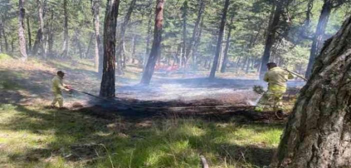 Osmancık’ta orman yangını