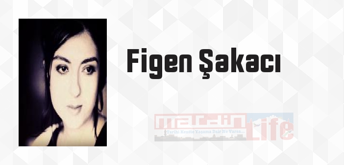 Hayriye Hanım'ı Kim Çaldı? - Figen Şakacı Kitap özeti, konusu ve incelemesi