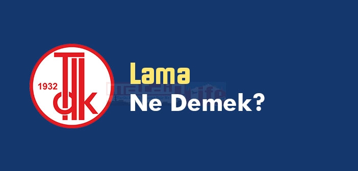 Lama ne demek? Lama TDK sözlük anlamı nedir?