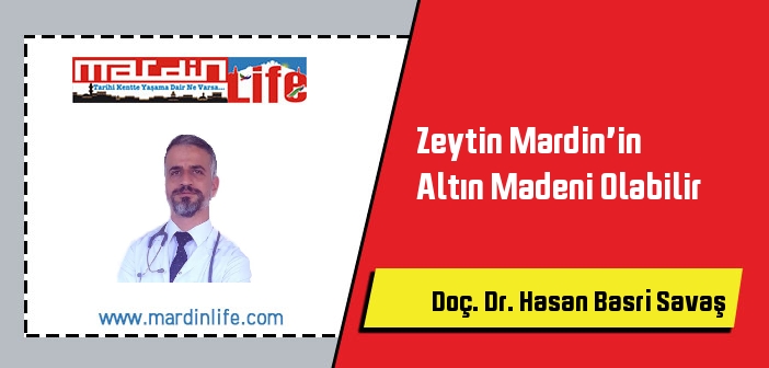 Zeytin Mardin’in Altın Madeni Olabilir