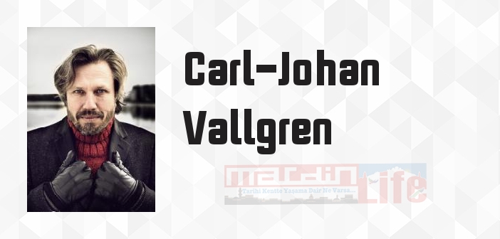 Bir Garip Aşk Öyküsü - Carl-Johan Vallgren Kitap özeti, konusu ve incelemesi